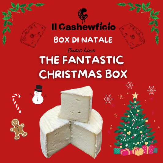 THE FANTASTIC CHRISTMAS BOX