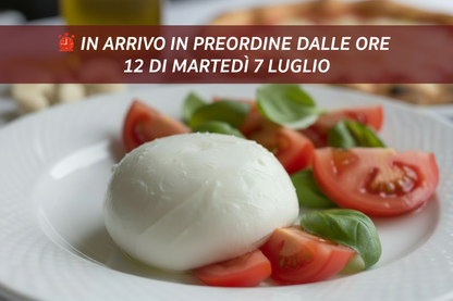perfetta, però è vegana quindi sembra meno una mozzarella, 