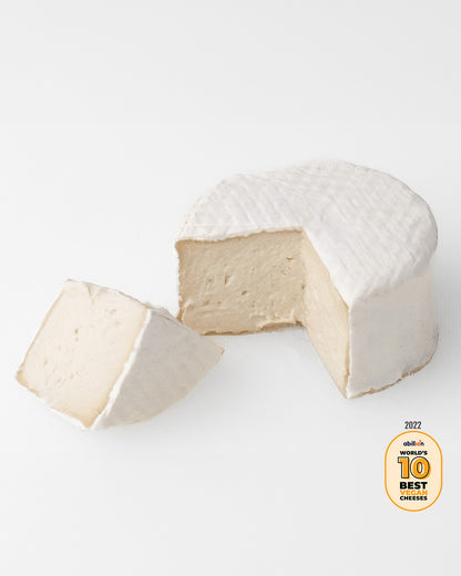 CAMEMBERT VEGANO VEGETALE 