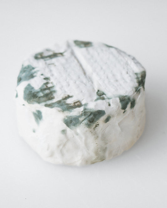 MUFFERV CAMBLEU